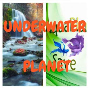 Grupo Whatsapp UNDERWATER PLANET