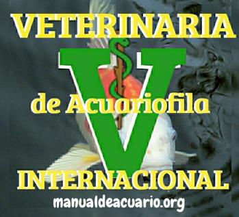 VETERINARIOS DE ACUARIOFILIA Y ASESORES