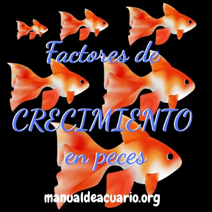 Factores de   CRECIMIENTO  en peces