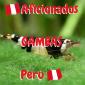 Grupo Whatsapp aficionados Gambas Perú