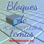 Bloque de temas de Aqua I.F.