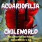 Grupo Whatsapp Acuariofilia Chileworld