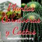 Grupo Whatsapp de plantas CARNIVORAS Y CACTUS