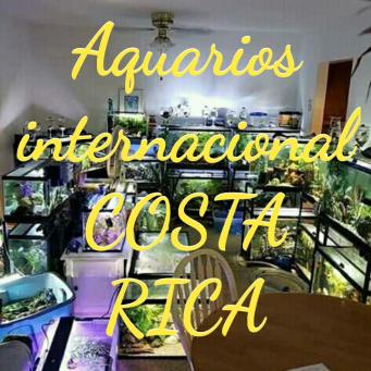 ACUARIOS INTERNACIONAL COSTA RICA
