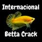 Grupo Whatsapp Internacional Betta Crack