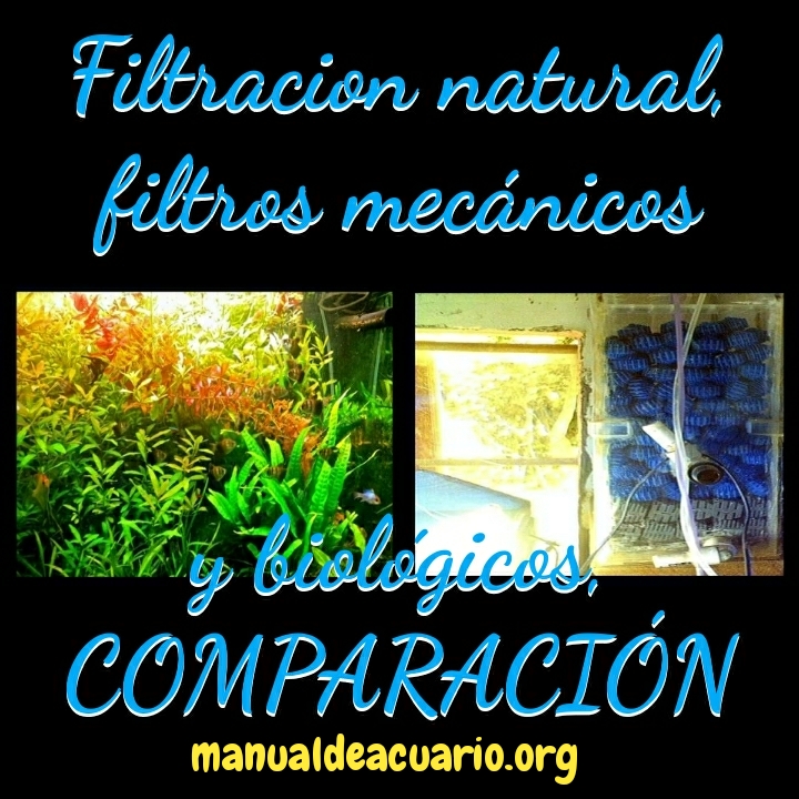 Filtración natural con plantas contra filtración comercial