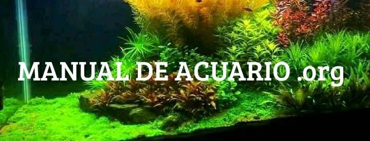 Manual de acuario de la comunidad Aqua Internacional Friends