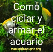 Ciclar y armar acuario