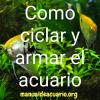 como ciclar y armar un acuario