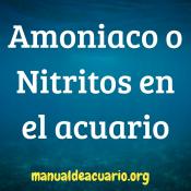 Amonio o.Nitritos en el acuario