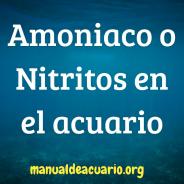 Amonio o.Nitritos en el acuario