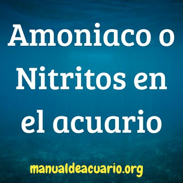 Amonio o.Nitritos en el acuario