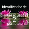 Identificador de plantas por foto del atlas de manualdeacuario.org