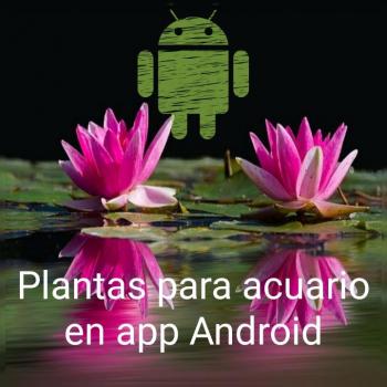 Plantas para acuario en aplicación Android