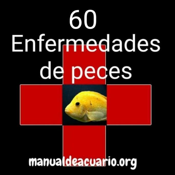 60 enfermedades de peces