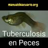 Tuberculosis en peces