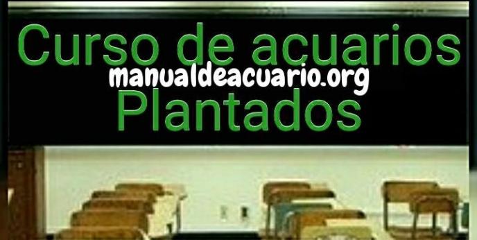 Curso de acuarios plantadosl de acuariofilia de Aqua Internacional Friends