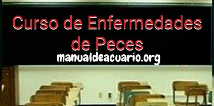 Curso de enfermedades de Peces de Aqua Internacional Friends