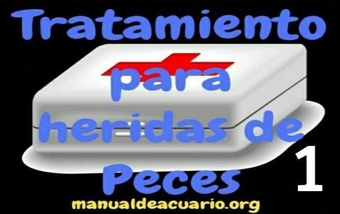 Tratamiento para las heridas de los peces 1