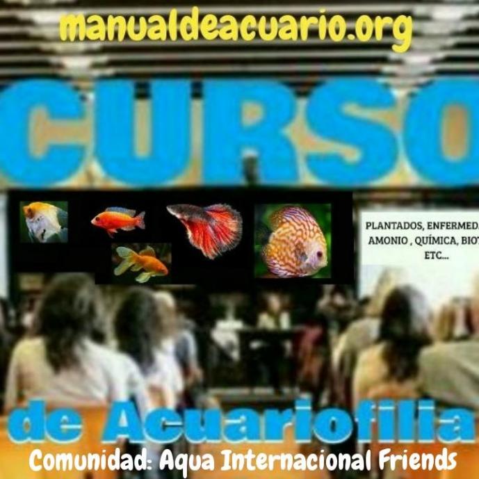 Curso de Acuariofilia de la comunidad Aqua Internacional Friends