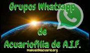 Grupos Whatsapp de acuariofilia de Aqua Internacional. Friends