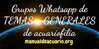 Grupos Whatsapp de temas generales de acuariofilia