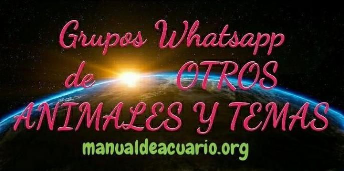 Grupos Whatsapp de otros animales y temas 1