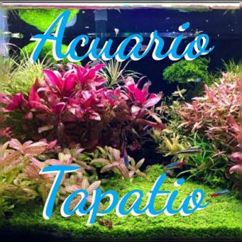 Acuario Tapatio