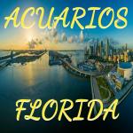 Grupo Whatsapp Acuarios FLORIDA