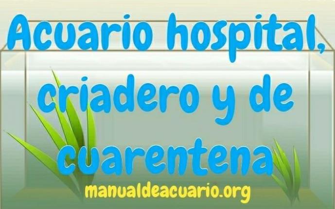 Como hacer un acuario hospital, criadero y de cuarentena