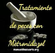 Tratamiento para peces con Metronidazol 1.2