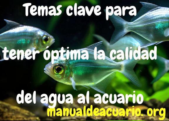 Img 20241208 wa0002