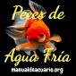 Grupo Whatsapp de peces agua fria y estanque