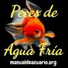 Peces de agua fria aquaif