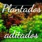 Grupo de plantados aditados