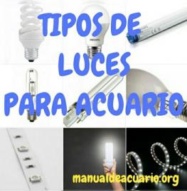 Tipos de luces para el acuario