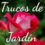 Grupo Whatssapp de trucos de jardin